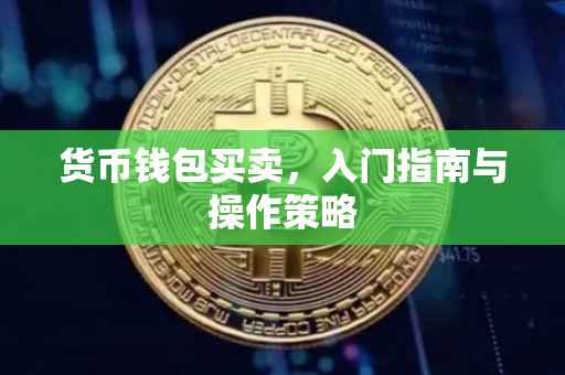 货币钱包买卖，入门指南与操作策略