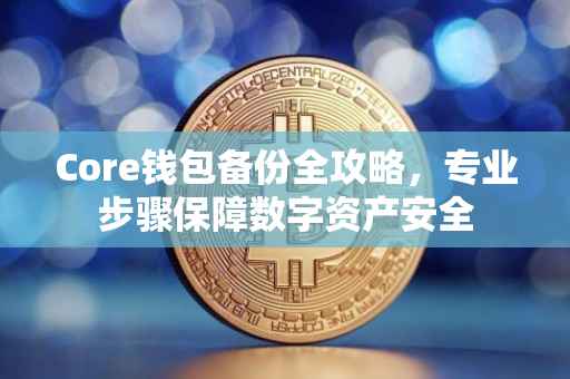 Core钱包备份全攻略，专业步骤保障数字资产安全
