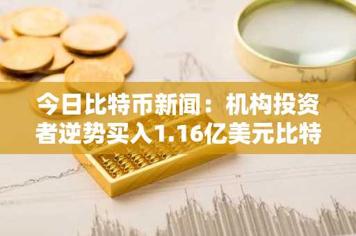 今日比特币新闻：机构投资者逆势买入1.16亿美元比特币