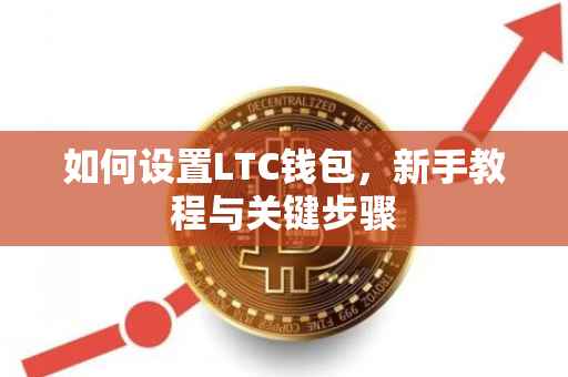 如何设置LTC钱包，新手教程与关键步骤