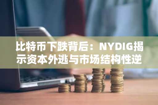 比特币下跌背后：NYDIG揭示资本外逃与市场结构性逆转