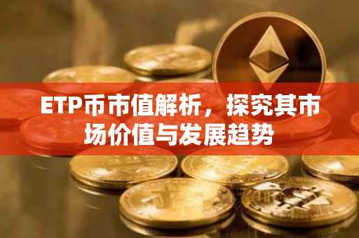 ETP币市值解析，探究其市场价值与发展趋势