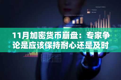 11月加密货币崩盘：专家争论是应该保持耐心还是及时止损
