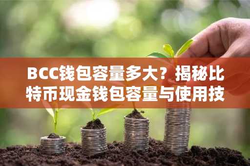 BCC钱包容量多大？揭秘比特币现金钱包容量与使用技巧