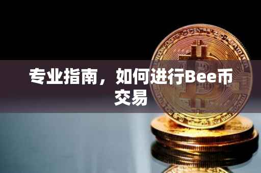 专业指南，如何进行Bee币交易