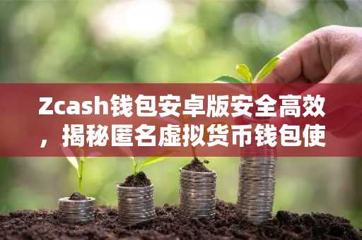 Zcash钱包安卓版安全高效，揭秘匿名虚拟货币钱包使用指南