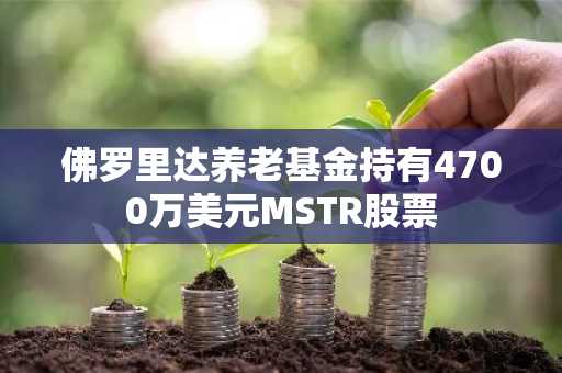 佛罗里达养老基金持有4700万美元MSTR股票