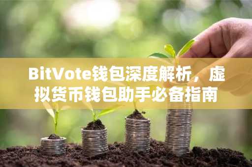 BitVote钱包深度解析，虚拟货币钱包助手必备指南