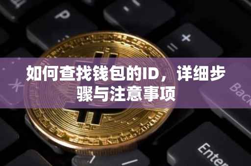 如何查找钱包的ID，详细步骤与注意事项