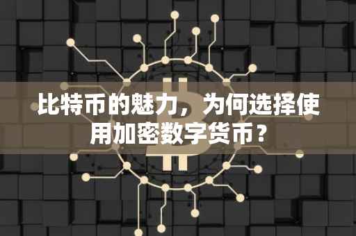 比特币的魅力，为何选择使用加密数字货币？
