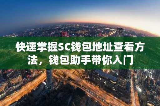 快速掌握SC钱包地址查看方法，钱包助手带你入门