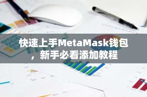 快速上手MetaMask钱包，新手必看添加教程