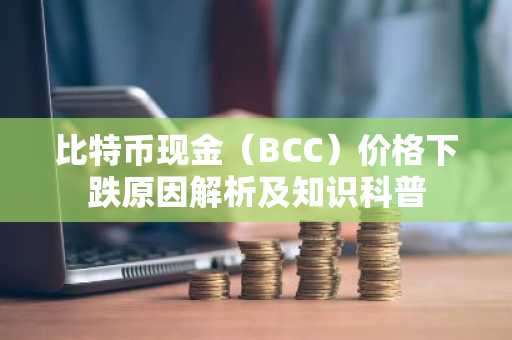 比特币现金（BCC）价格下跌原因解析及知识科普
