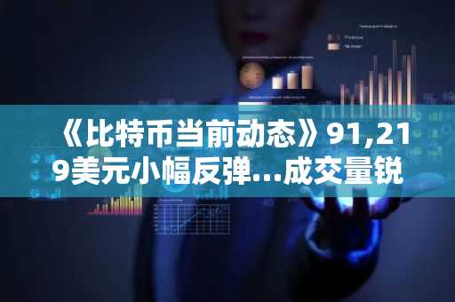 《比特币当前动态》91,219美元小幅反弹…成交量锐减与市场情绪、链上指标现分歧