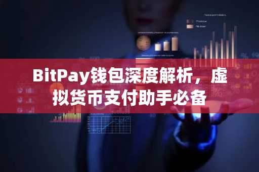 BitPay钱包深度解析，虚拟货币支付助手必备