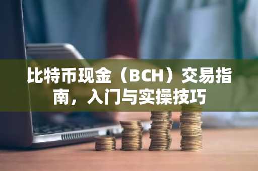 比特币现金（BCH）交易指南，入门与实操技巧
