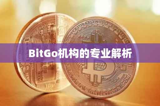 BitGo机构的专业解析