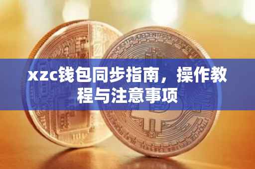 xzc钱包同步指南，操作教程与注意事项