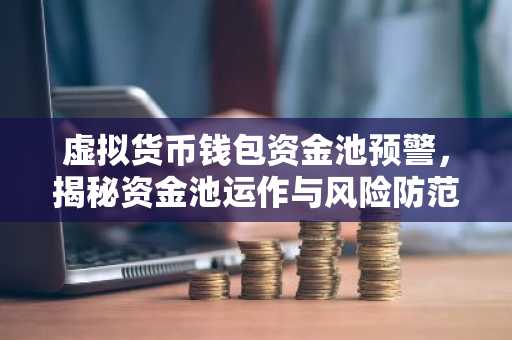虚拟货币钱包资金池预警，揭秘资金池运作与风险防范