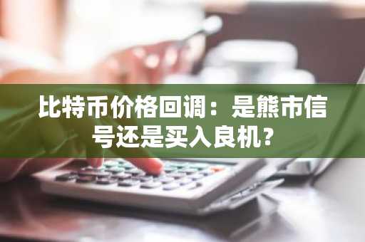 比特币价格回调：是熊市信号还是买入良机？