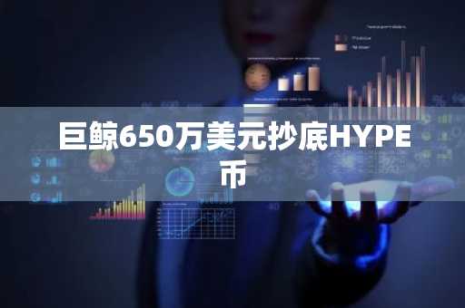 巨鲸650万美元抄底HYPE币