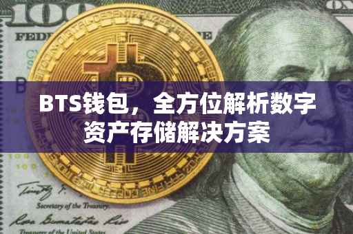 BTS钱包，全方位解析数字资产存储解决方案