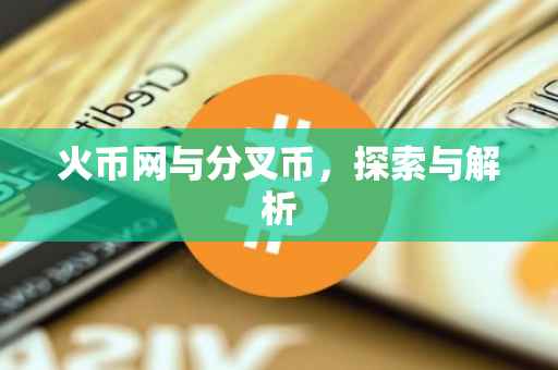 火币网与分叉币，探索与解析