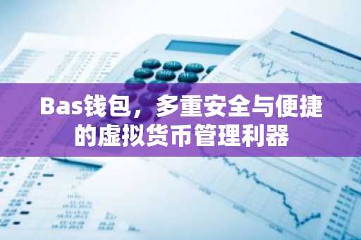 Bas钱包，多重安全与便捷的虚拟货币管理利器