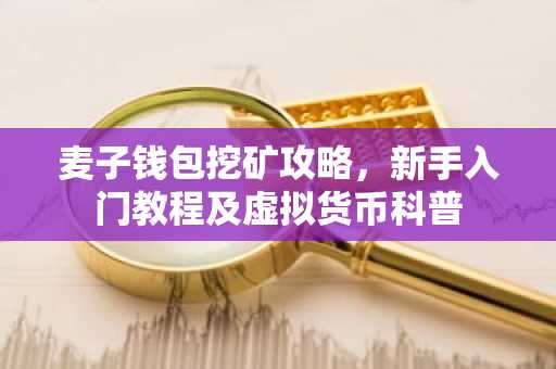 麦子钱包挖矿攻略，新手入门教程及虚拟货币科普