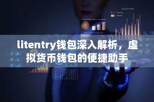 litentry钱包深入解析，虚拟货币钱包的便捷助手