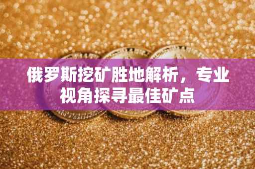 俄罗斯挖矿胜地解析，专业视角探寻最佳矿点