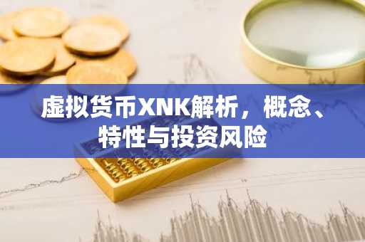 虚拟货币XNK解析，概念、特性与投资风险