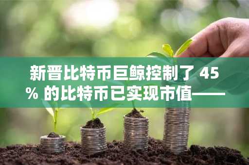 新晋比特币巨鲸控制了 45% 的比特币已实现市值——这为何是个问题？