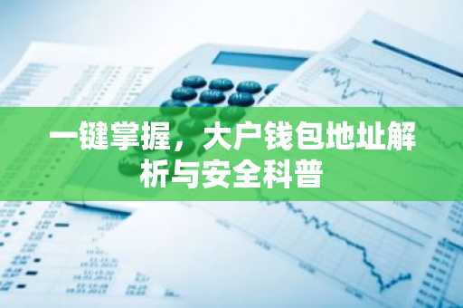 一键掌握，大户钱包地址解析与安全科普