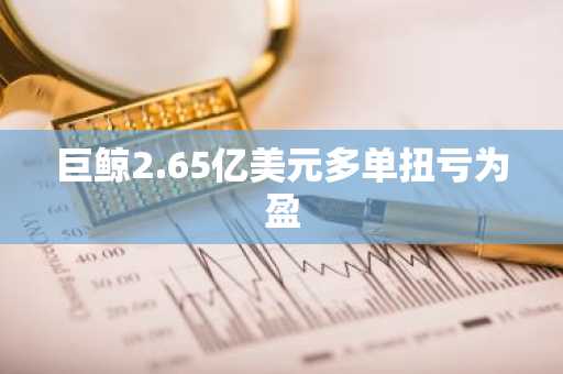 巨鲸2.65亿美元多单扭亏为盈