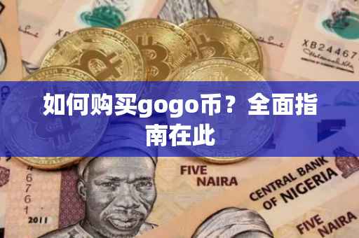 如何购买gogo币？全面指南在此