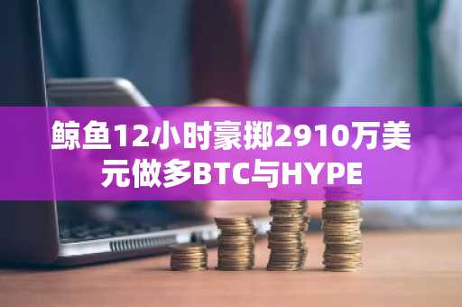 鲸鱼12小时豪掷2910万美元做多BTC与HYPE