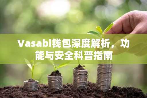 Vasabi钱包深度解析，功能与安全科普指南