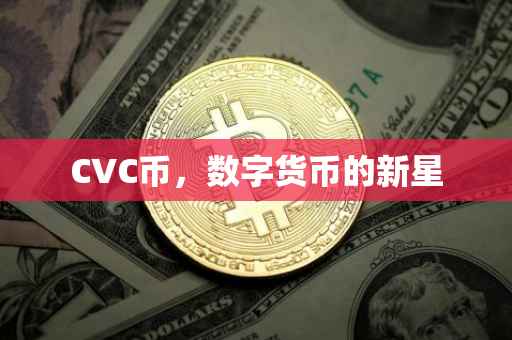 CVC币，数字货币的新星