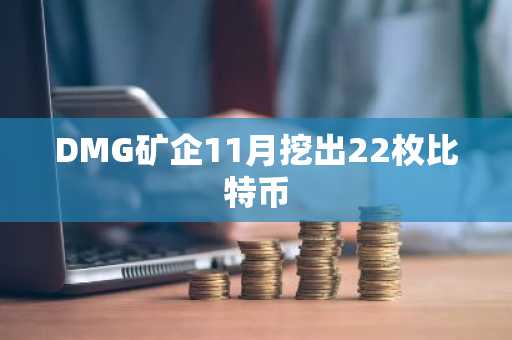DMG矿企11月挖出22枚比特币