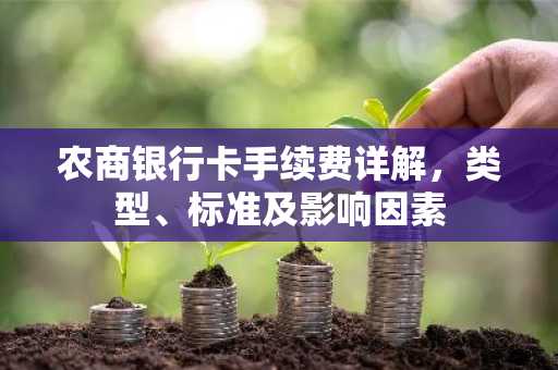 农商银行卡手续费详解，类型、标准及影响因素