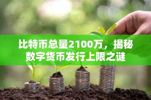 比特币总量2100万，揭秘数字货币发行上限之谜