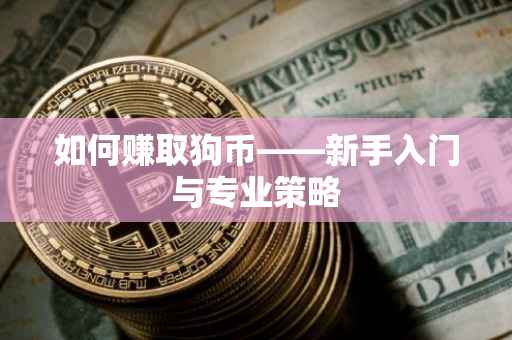 如何赚取狗币——新手入门与专业策略