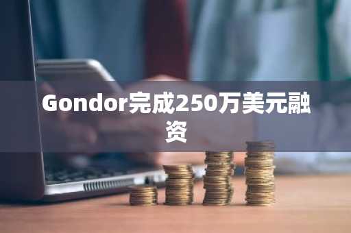 Gondor完成250万美元融资