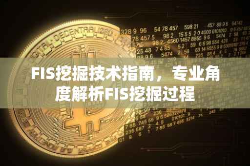 FIS挖掘技术指南，专业角度解析FIS挖掘过程