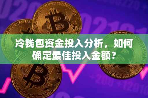 冷钱包资金投入分析，如何确定最佳投入金额？
