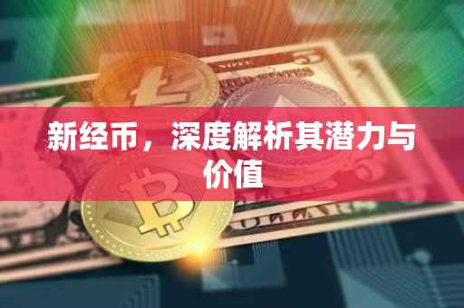 新经币，深度解析其潜力与价值