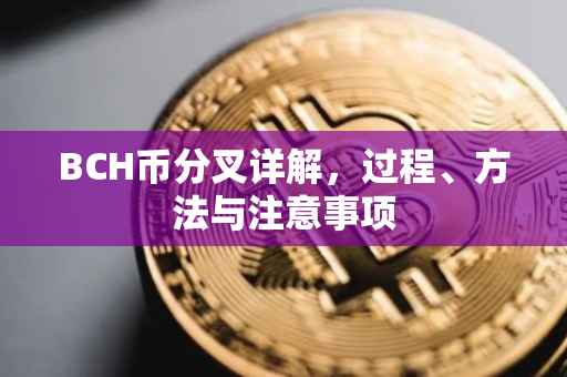 BCH币分叉详解，过程、方法与注意事项