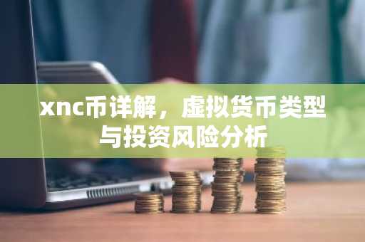 xnc币详解，虚拟货币类型与投资风险分析