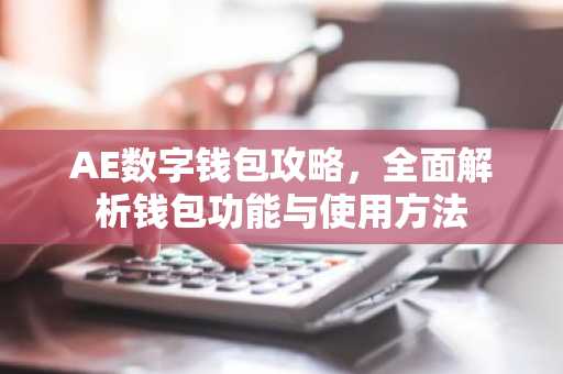 AE数字钱包攻略，全面解析钱包功能与使用方法